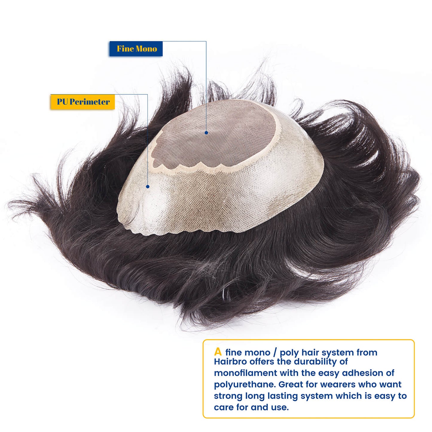 Fine Mono Poly with Gauze in Perimeter Stock Hair System